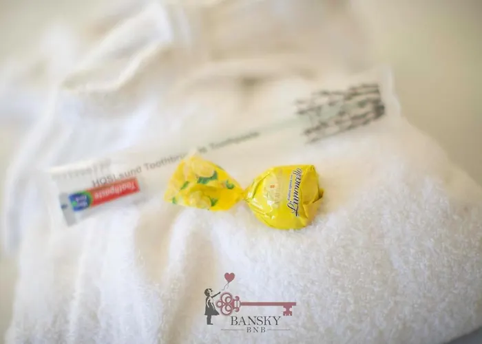 Sunny Nordic - -by Easylife Swiss Apartament *